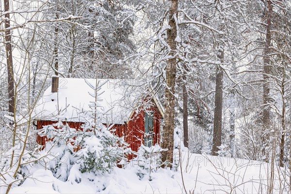 Red cabin in a snowy forest in winter