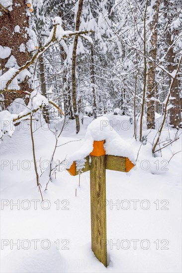 Trail marking with snow in the forest for a hiking path