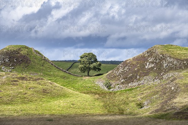 Sycamore Gap