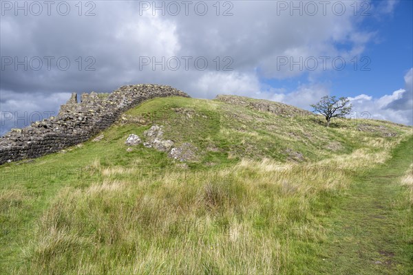 Hadrian's Wall at Walltown Crags