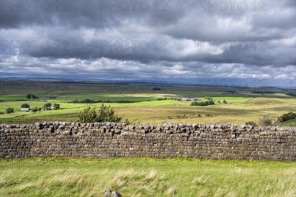 Hadrian's Wall at Walltown Crags