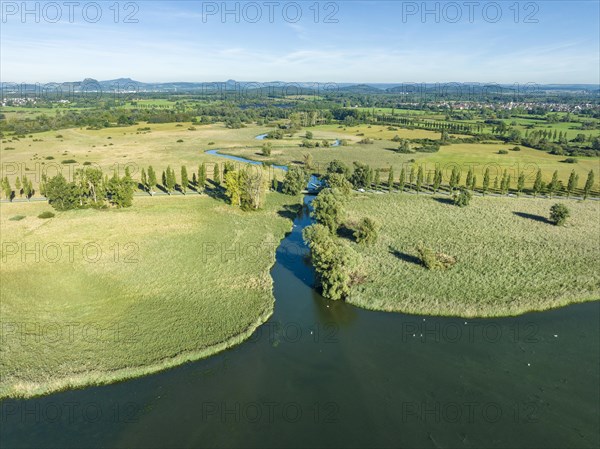 Aerial view of the Radolfzeller Aachried with the Radolfzeller Aach flowing into western Lake Constance