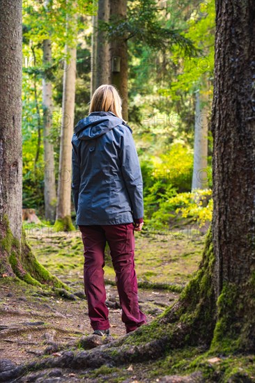 Woman from behind in the forest