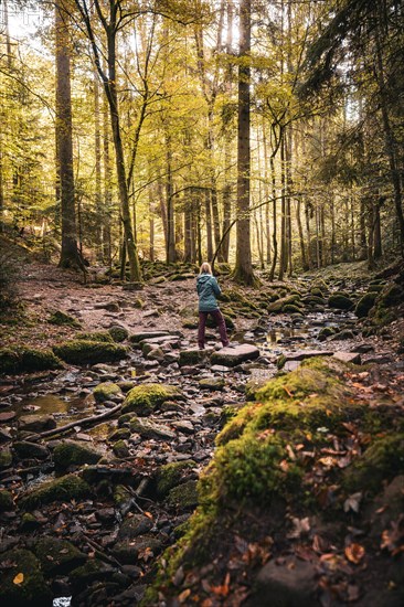 Woman standing on stones in the river autumn forest