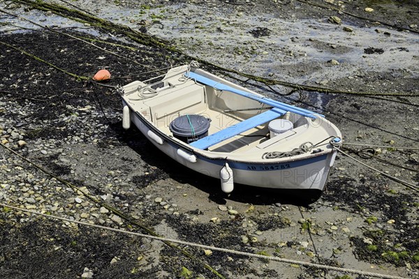 Small white boat