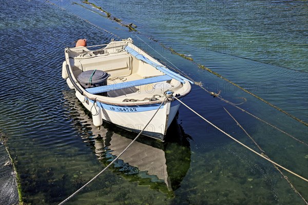 Small white boat