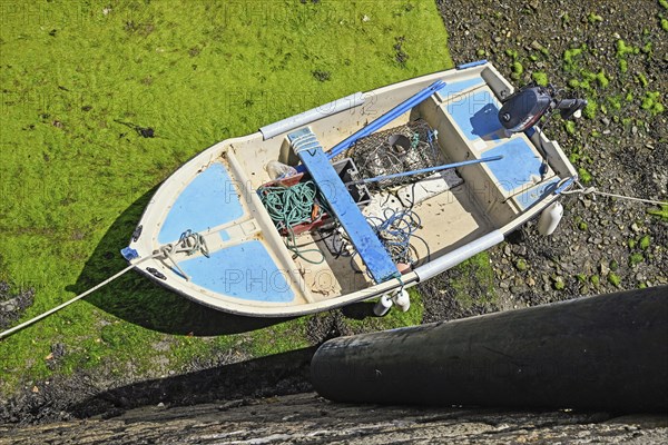 Small white and blue boat