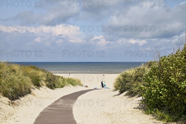 Path through the dunes to the beach