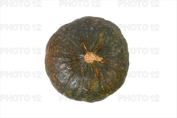 Top view of green Japanese Kabocha squash on white background