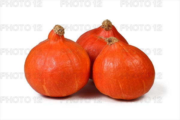 Three 'Red Kuri' squashes