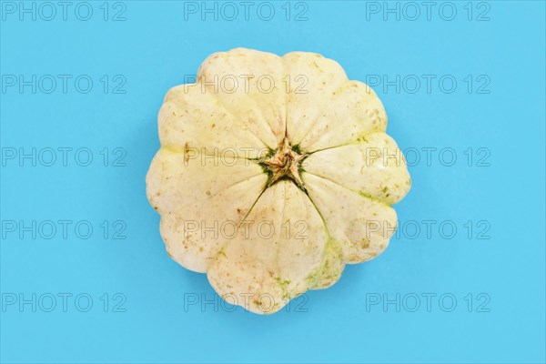 Top view of light yellow Pattypan squash with round and shallow shape and scalloped edges on blue background