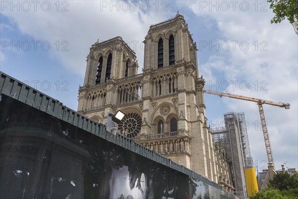 Towers of Notre Dame