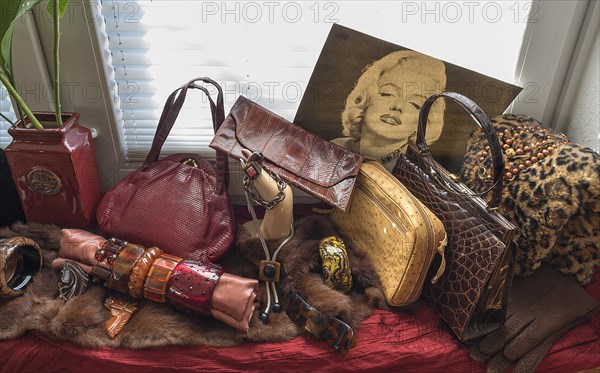 Bakelite jewellery and handbags decorated in front of a window