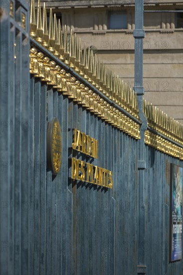 Lettering Jardin Des Plantes