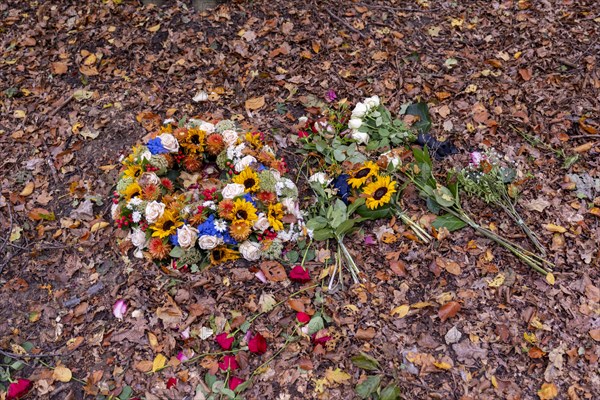 Flowers on autumn leaves in Seelwald