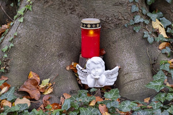 Angel figure and grave light at a burial tree with an urn of a deceased buried there in the Seelwald