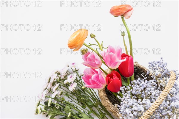 Arrangement flowers basket white background