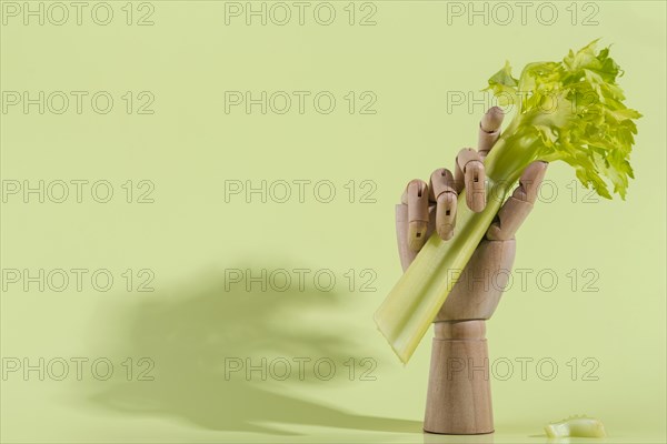 Assortment delicious fresh vegetable