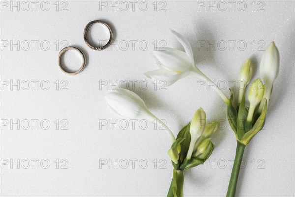 Blooming flowers with two wedding rings white background