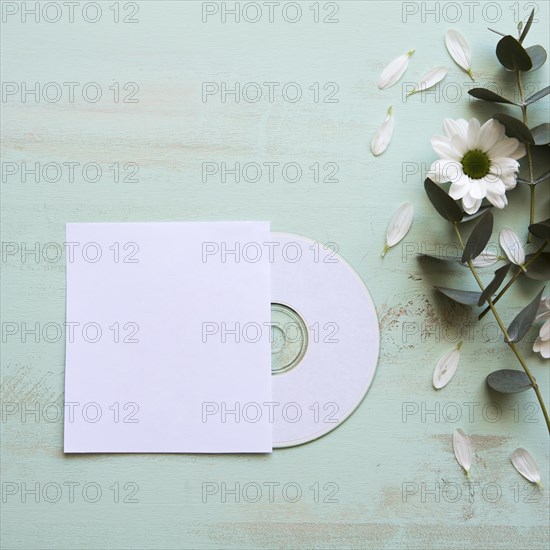 Cd mockup flower