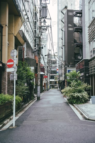 City street with signs trees