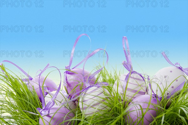 Cute eggs with purple ribbon easter