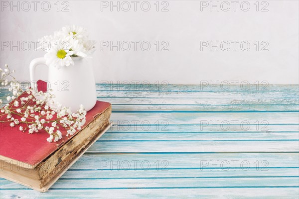Daisy flowers white jug book