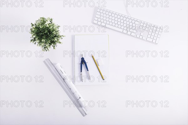 Drafting tools near plant keyboard