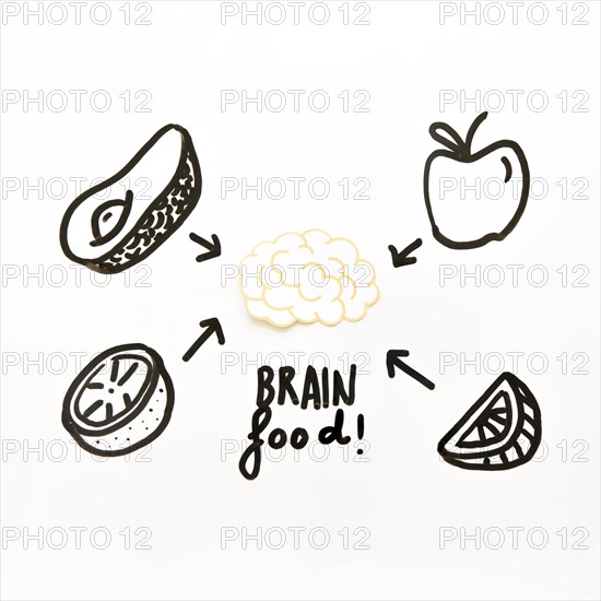 Drawn fruit good from brain white background