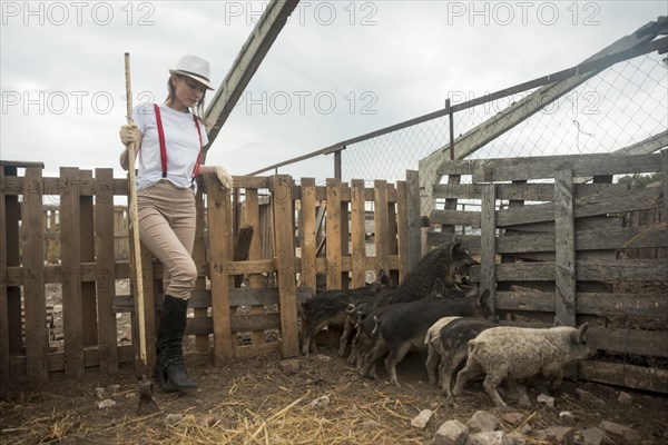 Farmer taking care pigs sty
