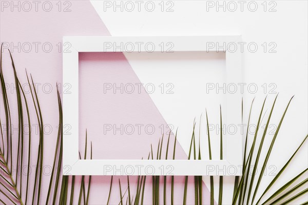 Flat lay frame with leaves decoration