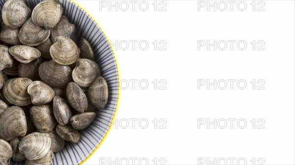 Flat lay plate with clams copy space