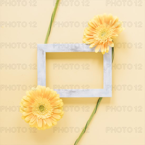 Flowers background 3