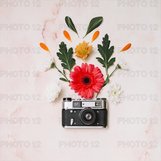 Flowers buds with camera table