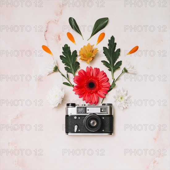 Flowers buds with camera table