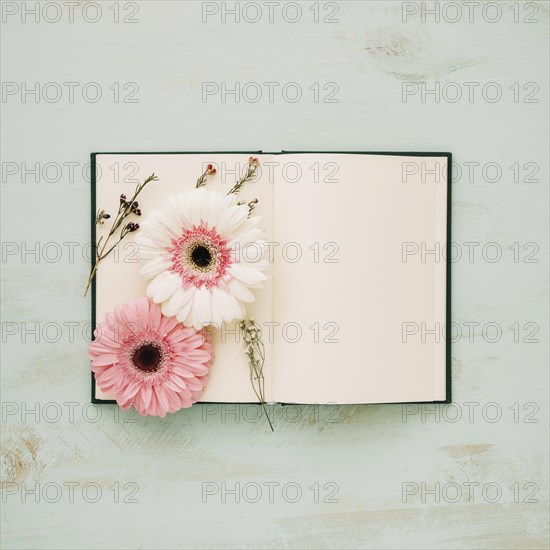 Flowers pages notebook