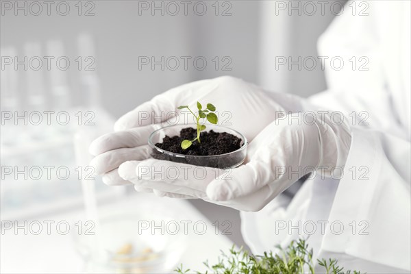 Hands holding plant petri dish