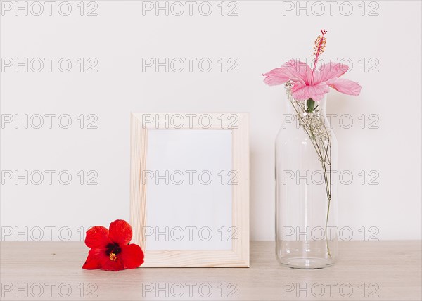 Hibiscus bottle