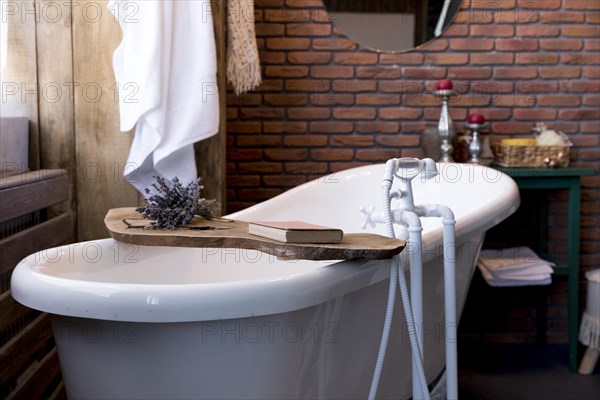 Interior design with vintage bathtub