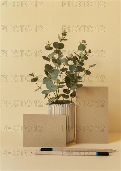 Natural material stationery arrangement