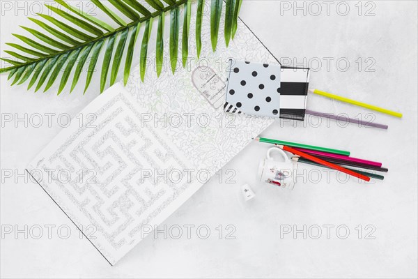 Overhead view maze with wallet leaf colored pencil cup