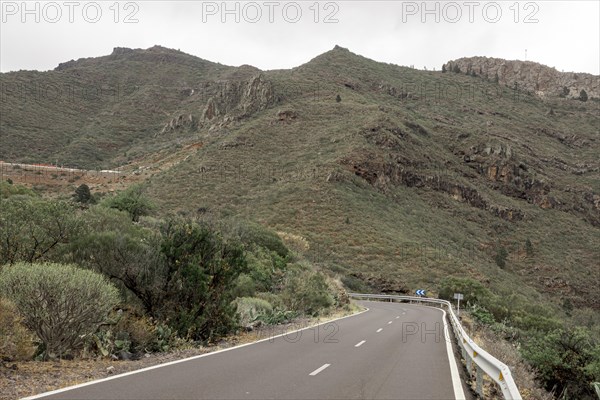 Road going up mountains