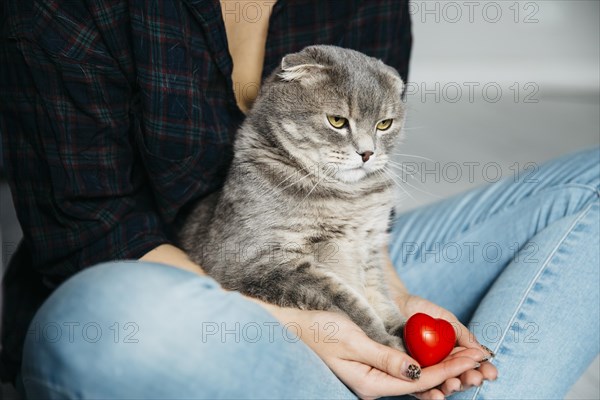 Serious cat sitting hands hostess