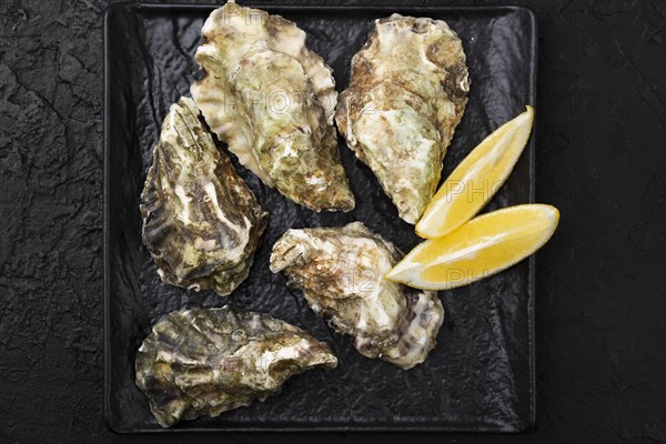 Top view oysters with lemon slices