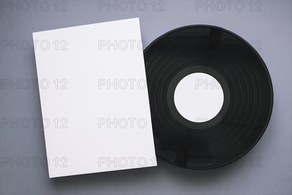 Vinyl mockup with page