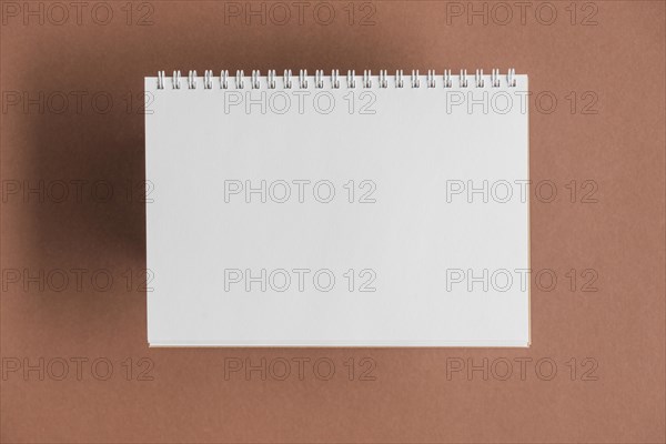 White scrapbook brown backdrop