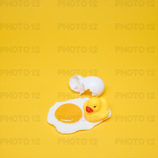 Yellow still life egg