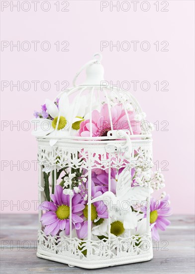 Arrangement with bird cage full flowers