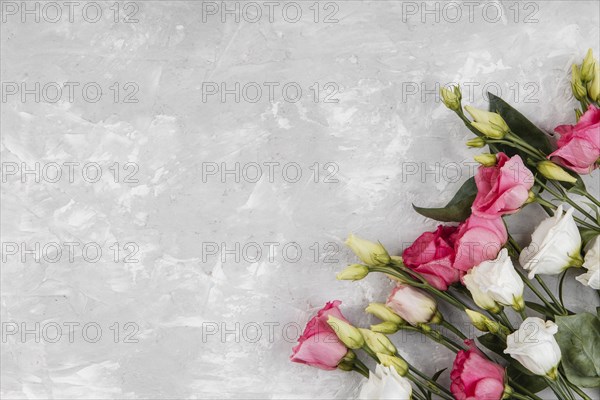 Beautiful roses assortment with copy space