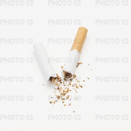Broken cigarette tobacco isolated white background